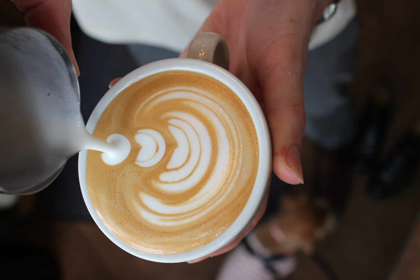 Workshop - Latte Art