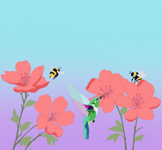 Las Marias - Colombia (2026)